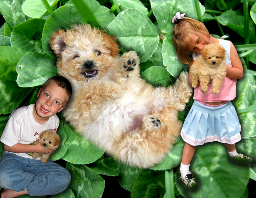 gal/1999 - 2013 Calendars/200702_feb.jpg